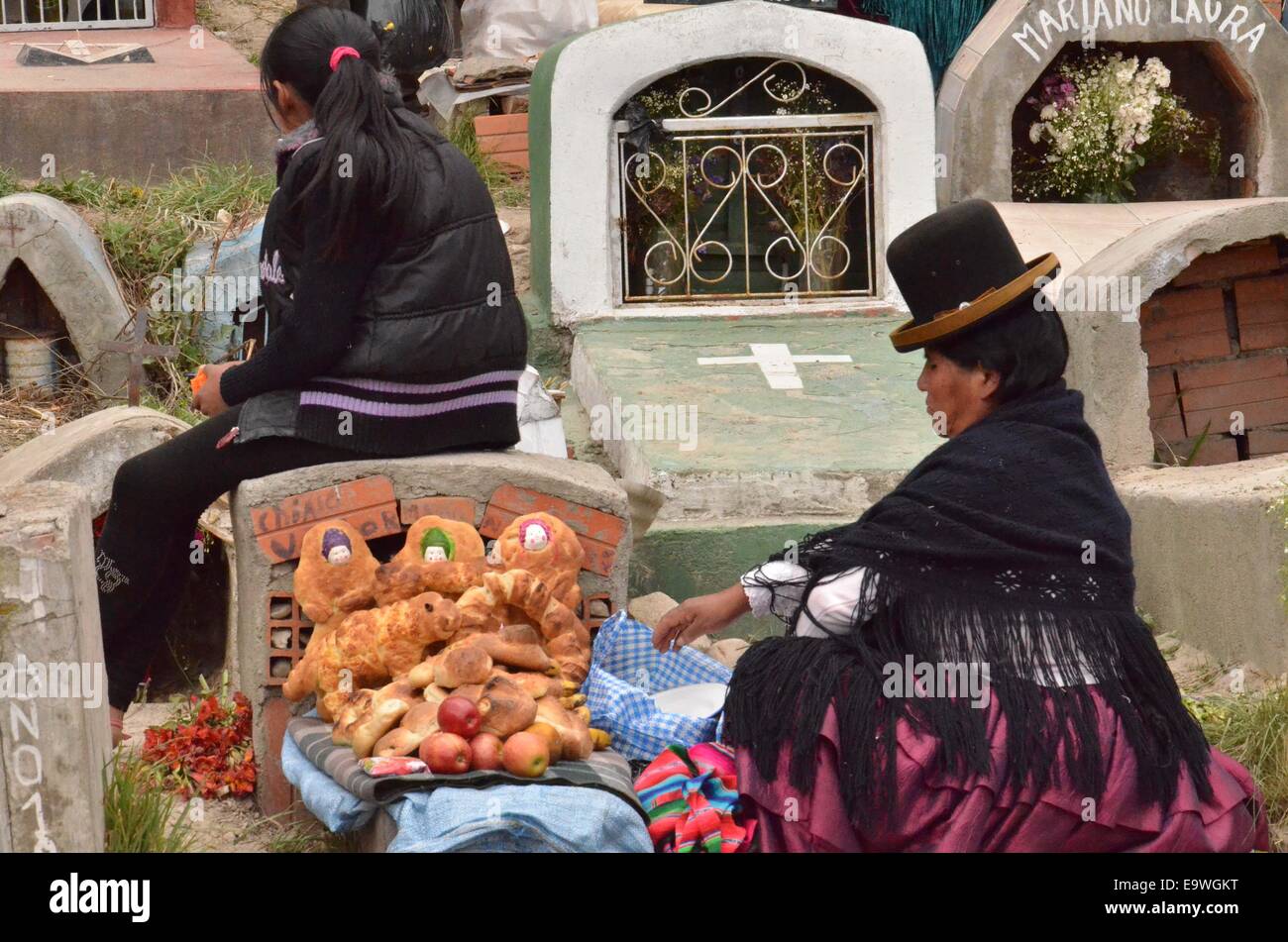 La Paz in Bolivia. 2° Nov, 2014. Una donna che decora la tomba del suo amato durante il giorno dei morti in un cimitero di La Paz, Bolivia, su nov. 2, 2014. © Jorge Mamani/ABI/Xinhua/Alamy Live News Foto Stock