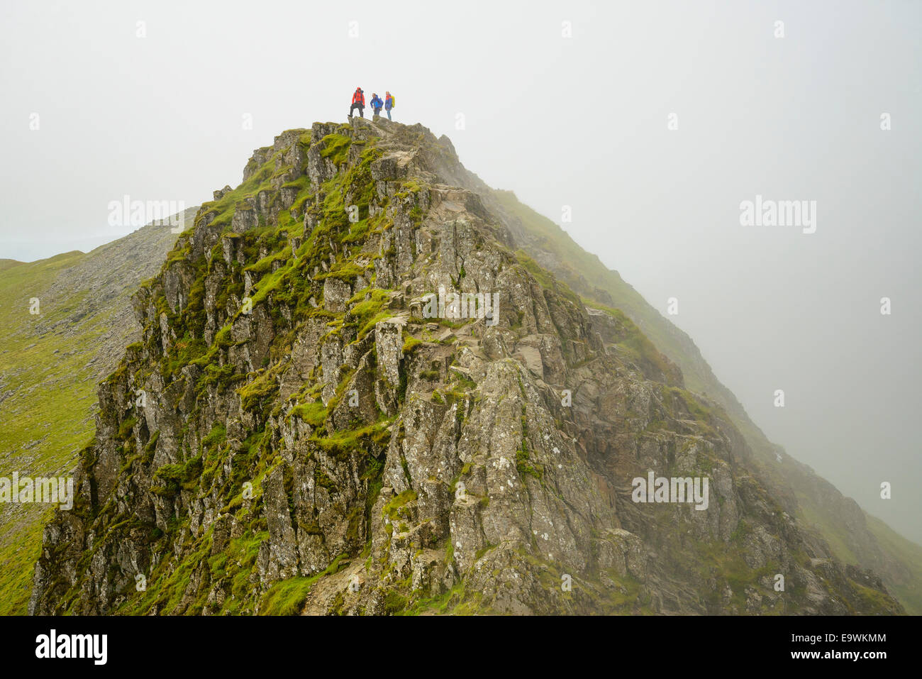 Walkers sul bordo di estensione su Helvellyn nel distretto del Lago Foto Stock