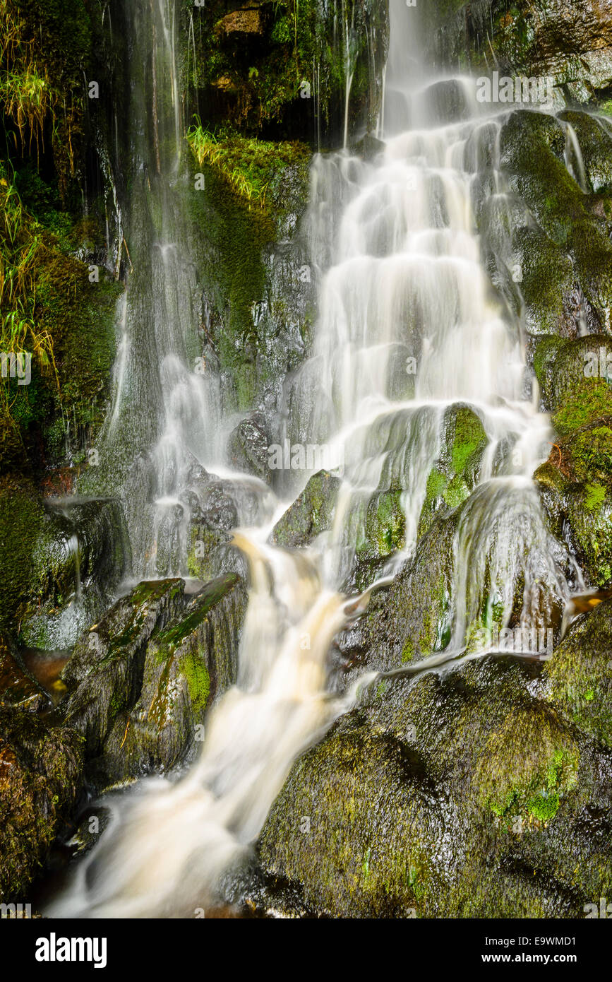 Cascata accanto a Thornton vigore vicino Ingleton nel Yorkshire Dales National Park Foto Stock