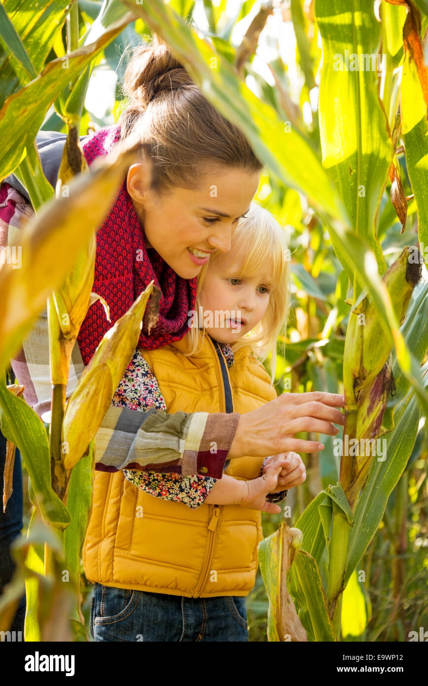 Ritratto di felice la madre e il bambino ad esplorare cornfield Foto Stock