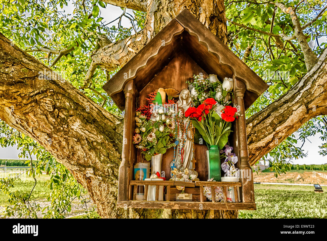 Edicola votiva dedicata alla Beata Vergine Maria su un albero vicino alla medievale chiesa di campagna del Campanile, situato nel villaggio di Santa Maria in Fabriago in Emilia Romagna regione del nord Italia Foto Stock