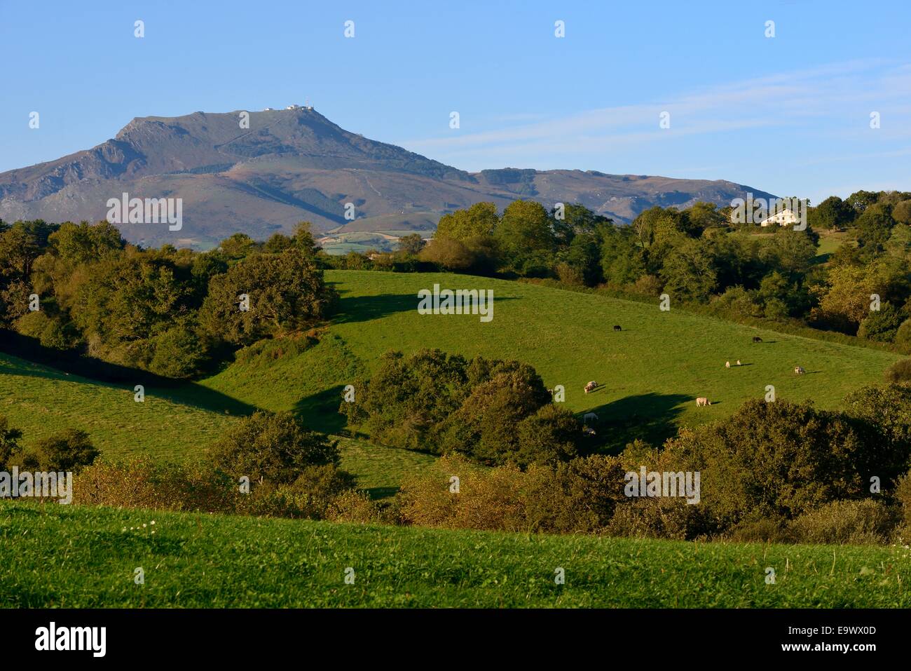 Francia, Pays Basque, dei Pirenei atlantici, Labord, Monte Rhune in background Foto Stock