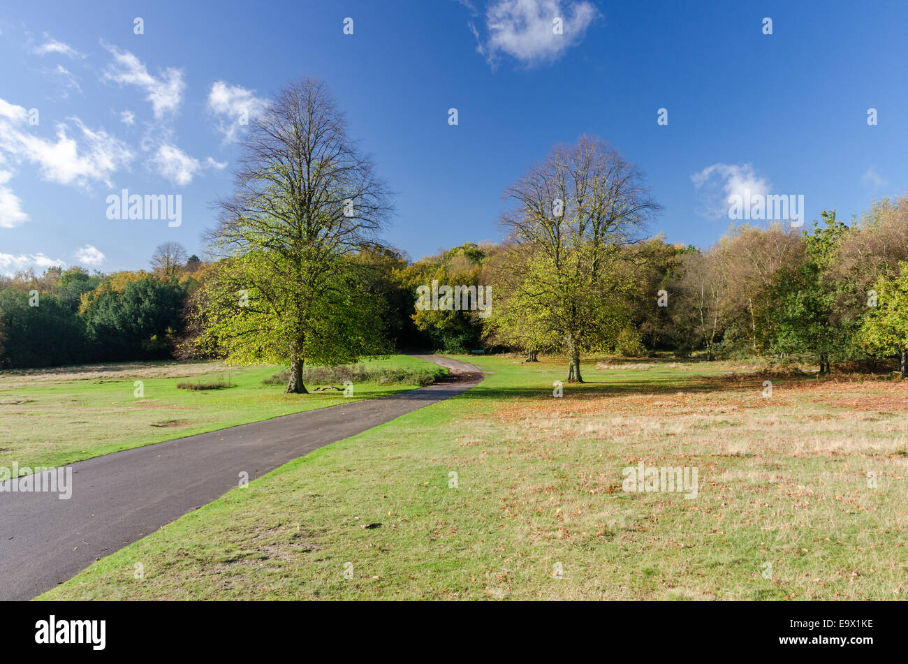 Vista di Sutton Park vicino al Birmingham su una soleggiata giornata autunnale Foto Stock