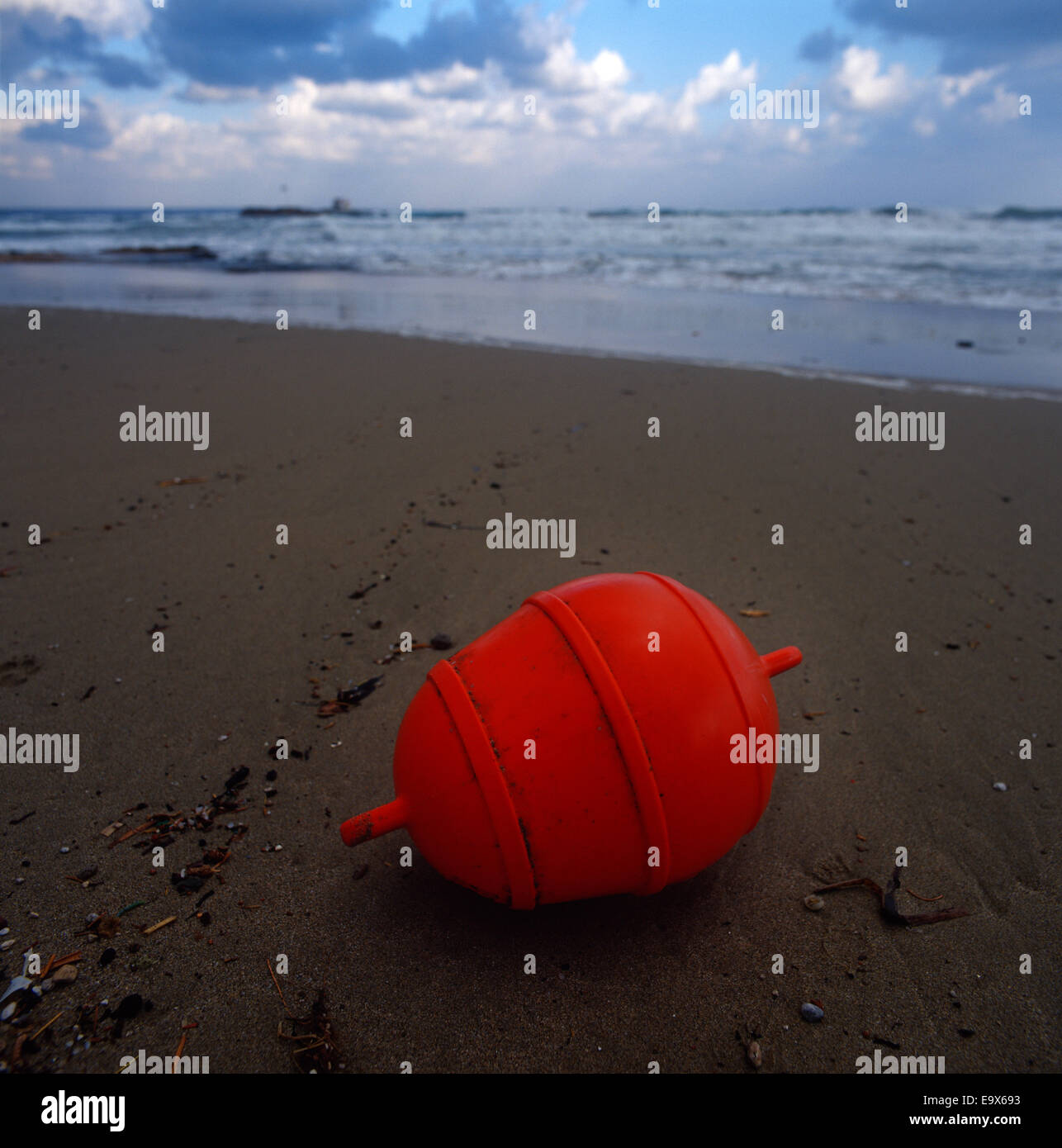 Una boa arancione recante su una spiaggia di sabbia Foto Stock