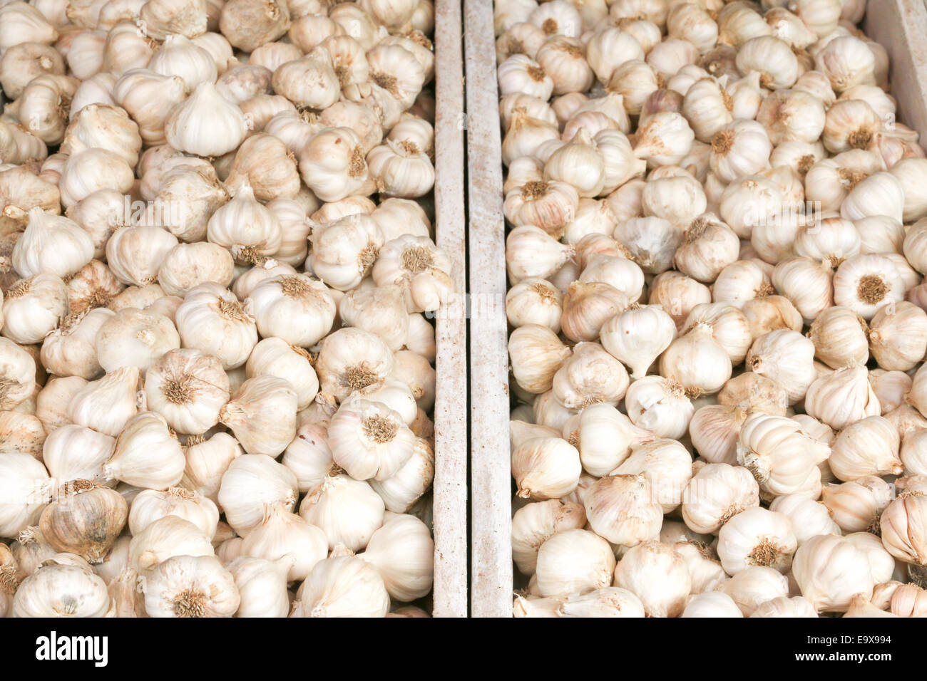 Aglio fresco per la vendita al mercato Foto Stock