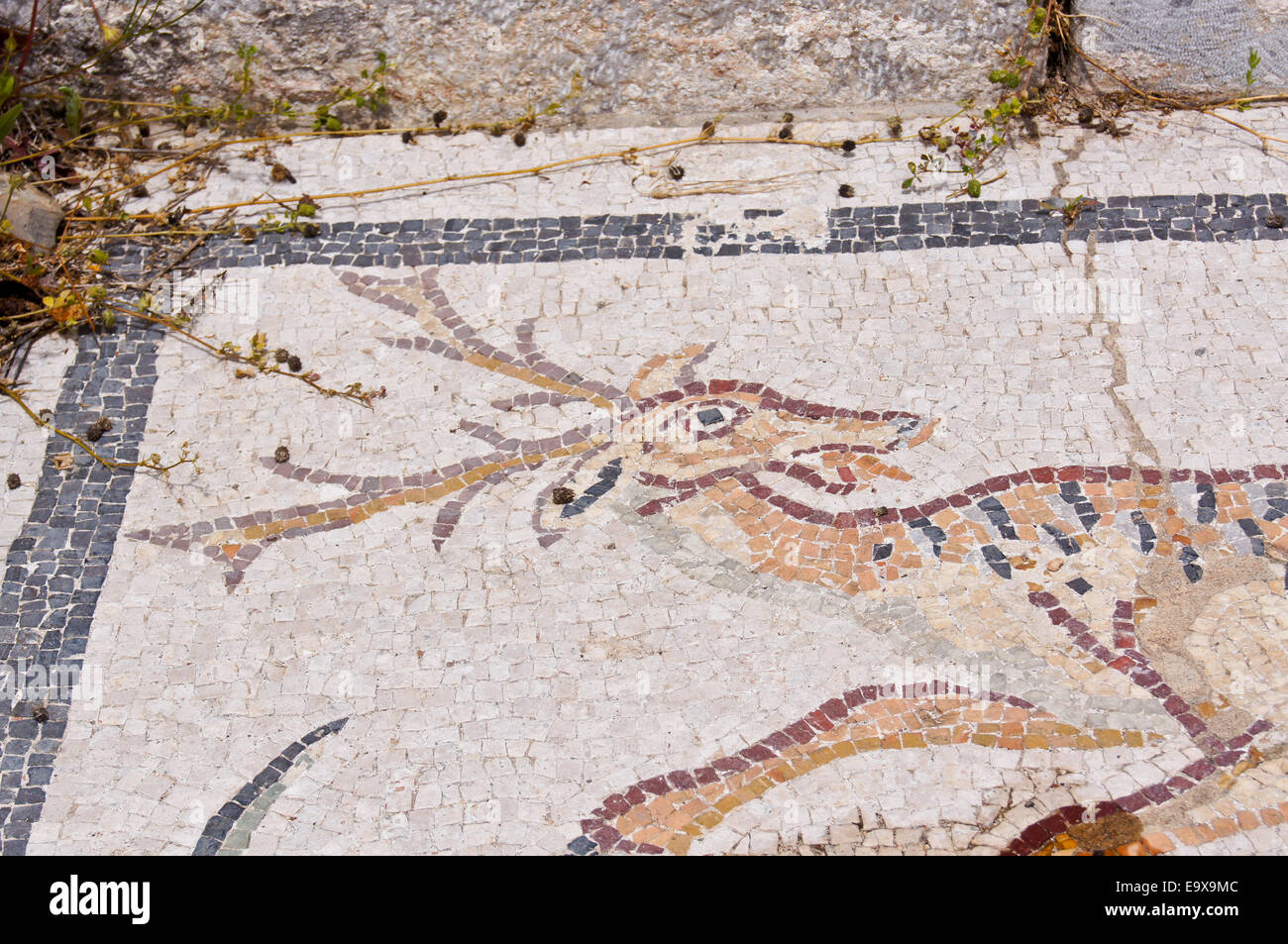 Scena di caccia, mosaici romani nel IV secolo le tombe al di fuori del cancello Myndos, Alicarnasso, ora bodrum, Turchia Foto Stock