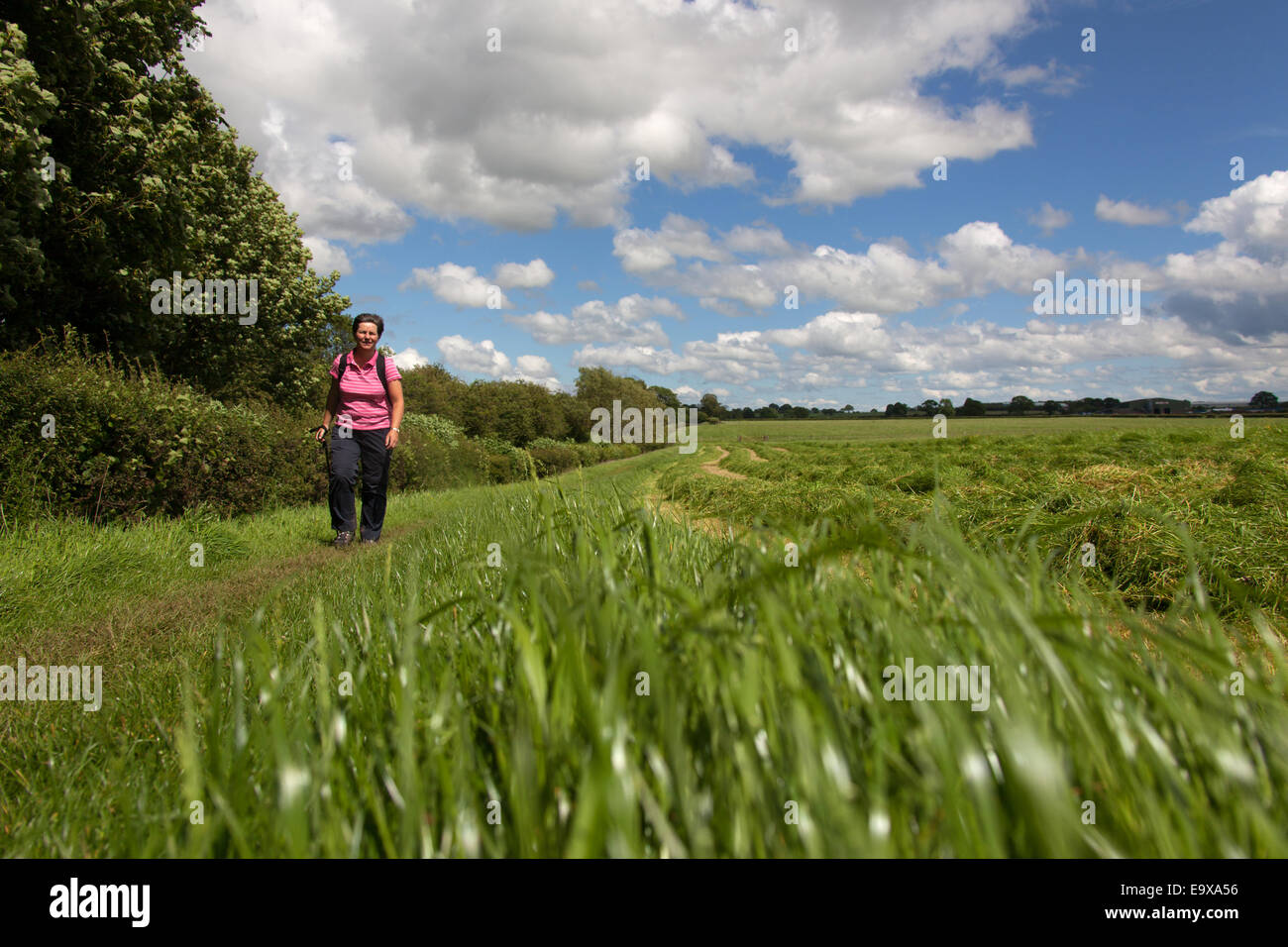 Una signora a piedi il vallo di Adriano percorso sul Carlisle a Walton stretch (nelle vicinanze del Carlisle Airport) del percorso. Foto Stock