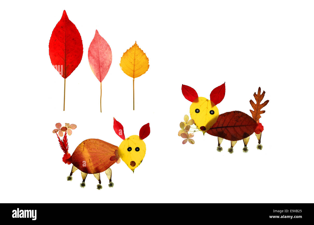 Due cute cane incontro ogni altro nella foresta. L'opera originale è stata realizzata a mano con foglie di autunno dal fotografo. Foto Stock