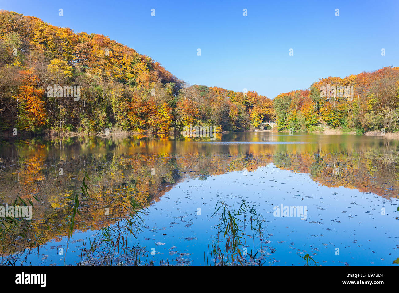 Colorato paesaggio autunnale con la riflessione in un lago. Foto Stock