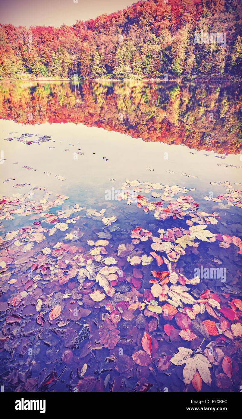Vintage filtrata paesaggio autunnale con la riflessione in un lago. Foto Stock