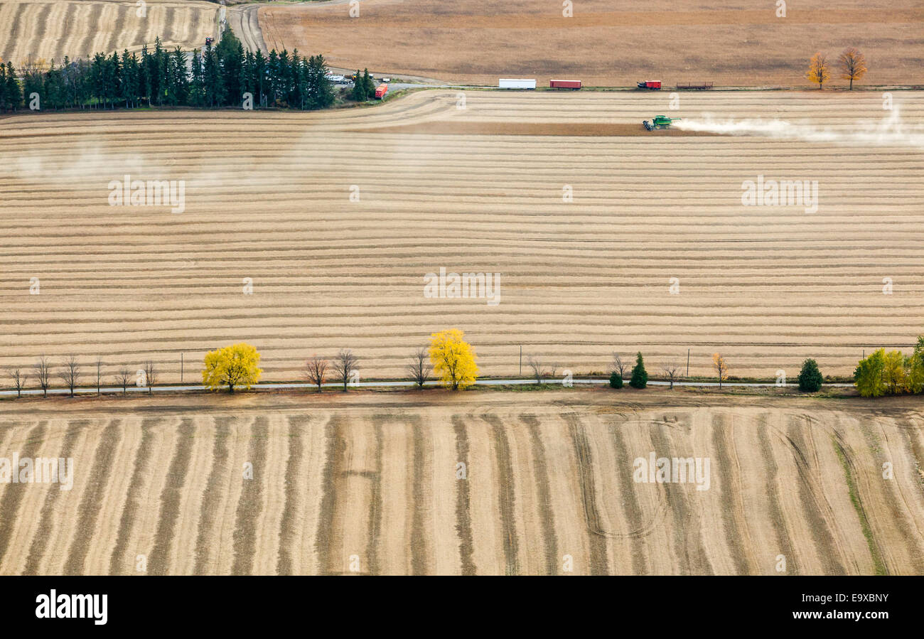 Foto aerea del raccolto mietuto. Foto Stock