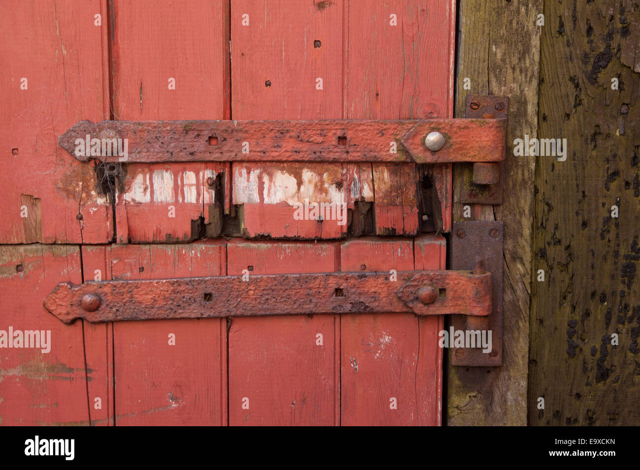 La vecchia porta con ferro cerniere di pinzatura Foto Stock