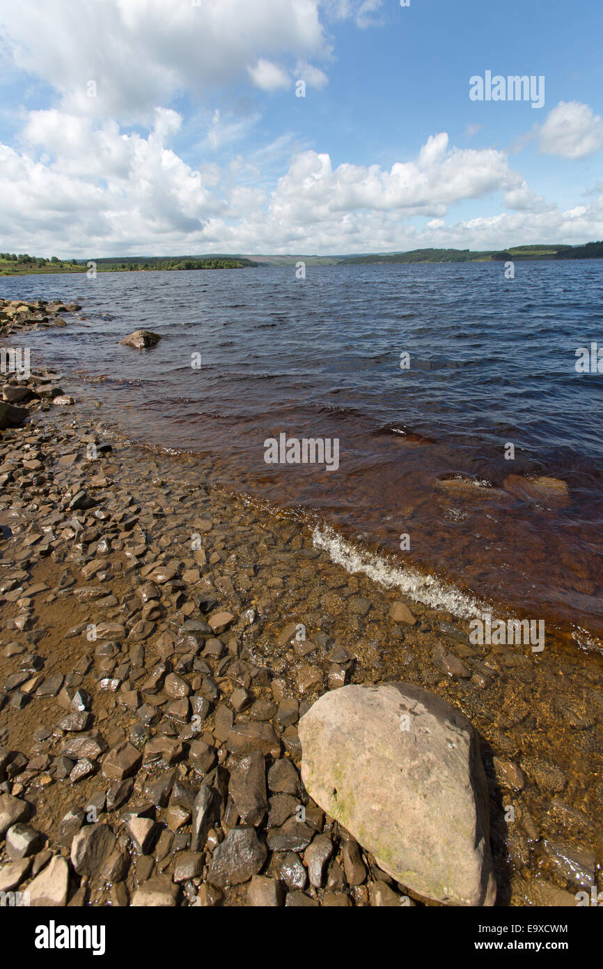 Lago Kielder, Northumberland. Il pittoresco inizio estate vista di Kielder lago vicino Mouseyhaugh. Foto Stock