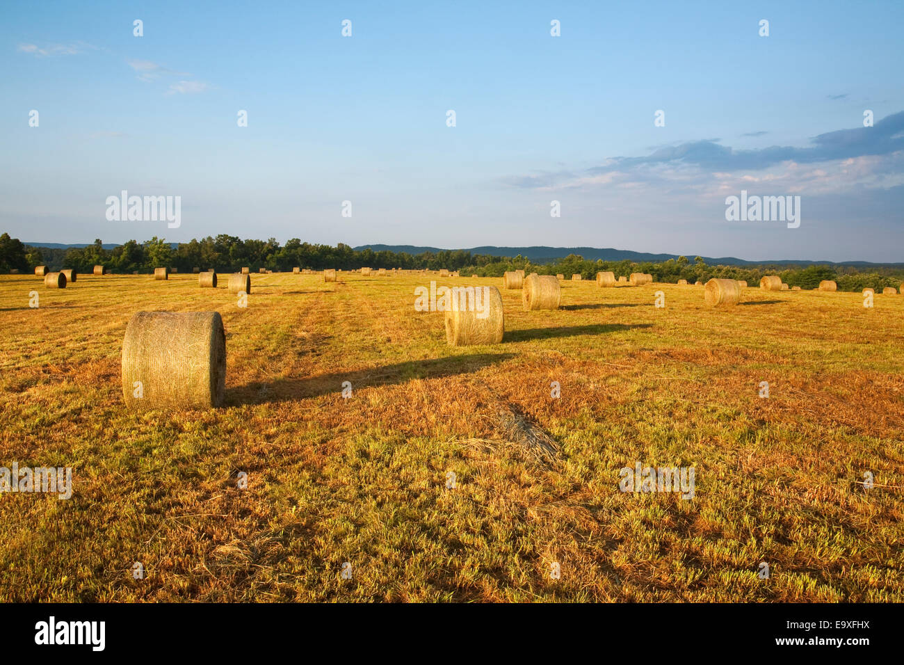 Bill,Ag,l'agricoltura,agricola,paese,Rural Foto Stock