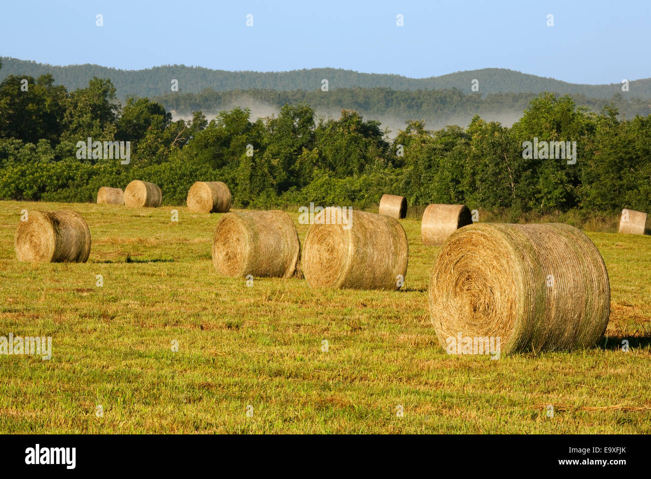 Bill,Ag,l'agricoltura,agricola,paese,Rural Foto Stock