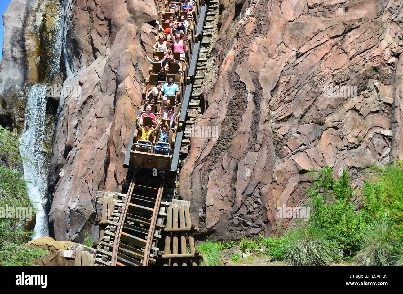 Expedition Everest Ride presso il Regno degli Animali di Disney e a Walt Disney World Resort di Orlando, Florida, Foto Stock