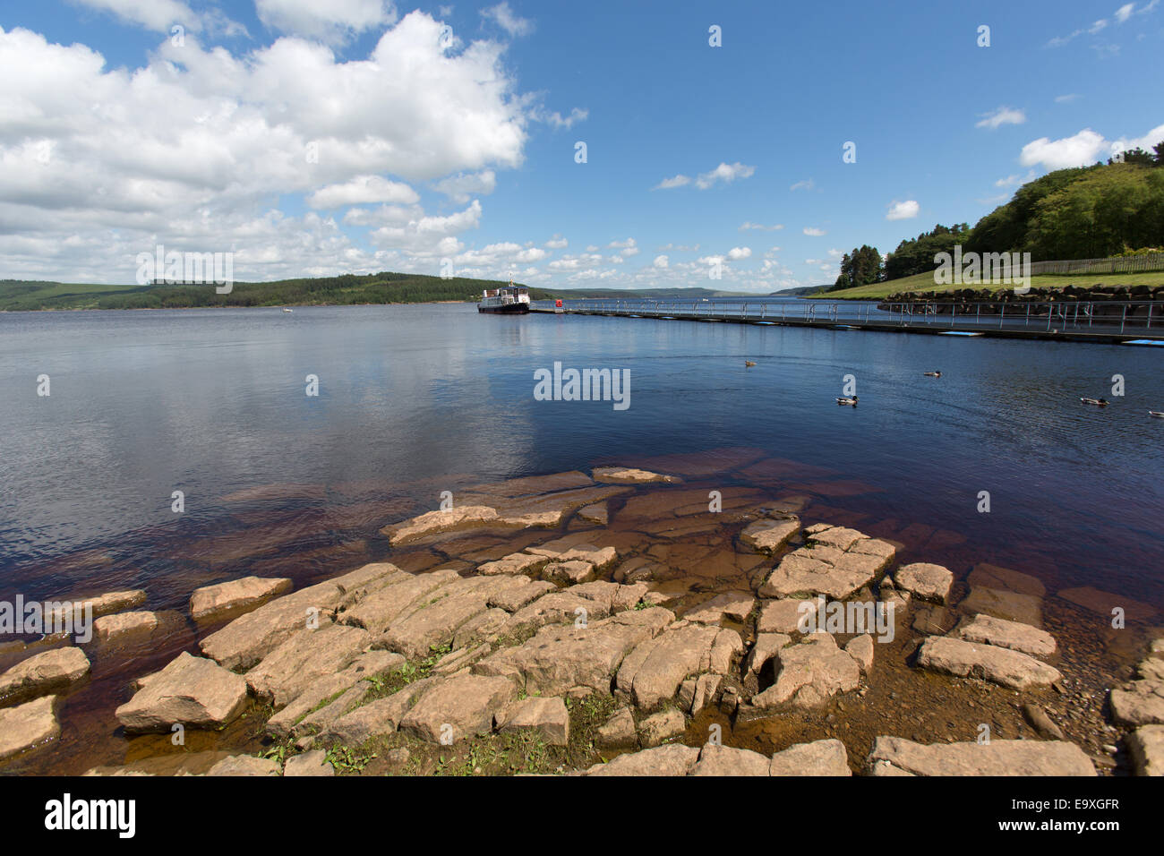 Lago Kielder, Northumberland. Una vista pittoresca del Kielder Lake Shores a Leaplish Waterside Park. Foto Stock