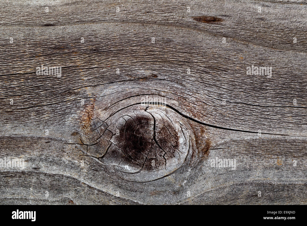 Primo piano immagine di legno rustico con grande nodo Foto Stock