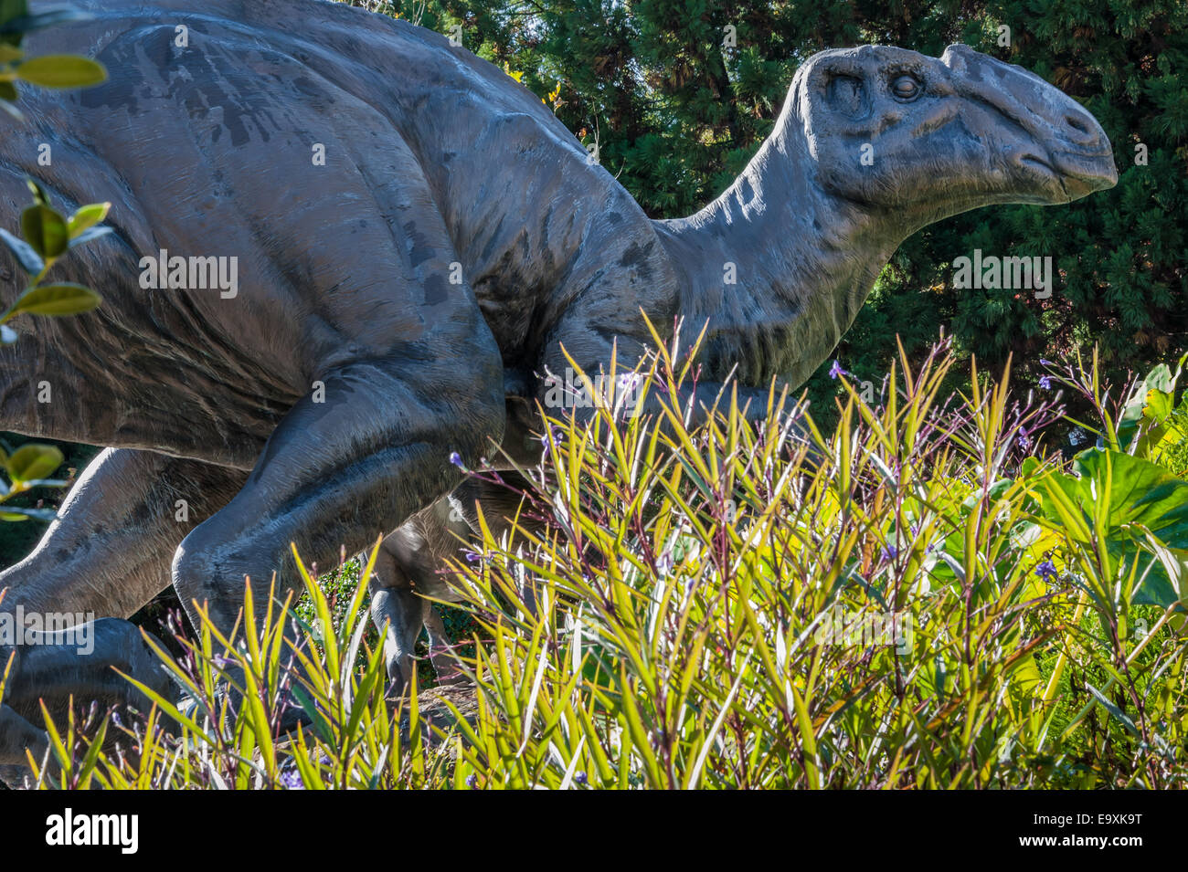Grande dinosauro (Hadrosaur) scultura in bronzo all'entrata del Fernbank Museum di Storia Naturale di Atlanta, Georgia, Stati Uniti d'America. Foto Stock
