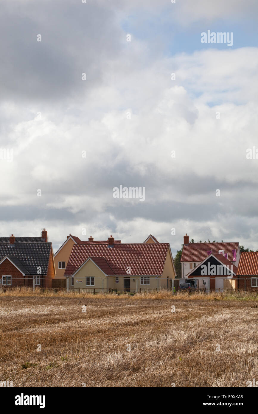 Nuovo alloggiamento. Espansione in 'Verde'. Norfolk. East Anglia. In Inghilterra. Regno Unito. 2014. Foto Stock