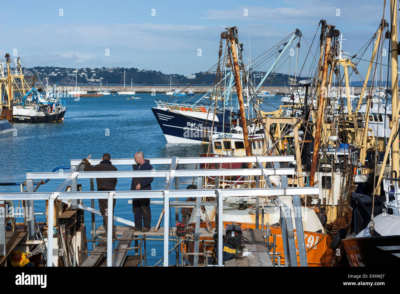 La biomassa. Dal 2007, il brixham flotta di pesca è stato governato da una prospettiva a lungo termine multi-piano di gestione annuale (MAMP) Foto Stock