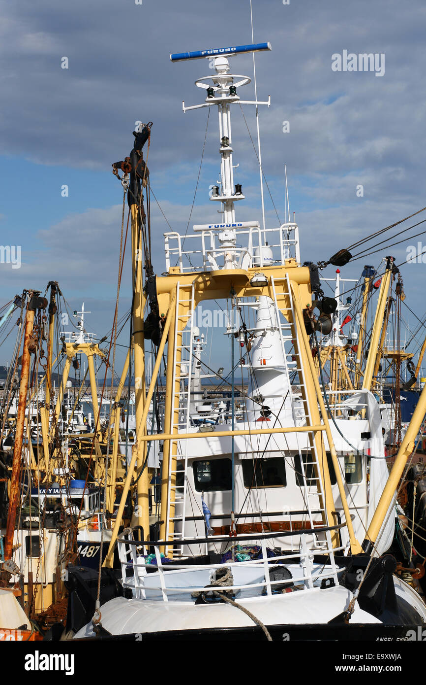 Brixham pescherecci da traino ormeggiato , stock di sogliola, coltivazione di biomassa. Dal 2007, la flotta è stata governata da una prospettiva a lungo termine multi-annuale Foto Stock