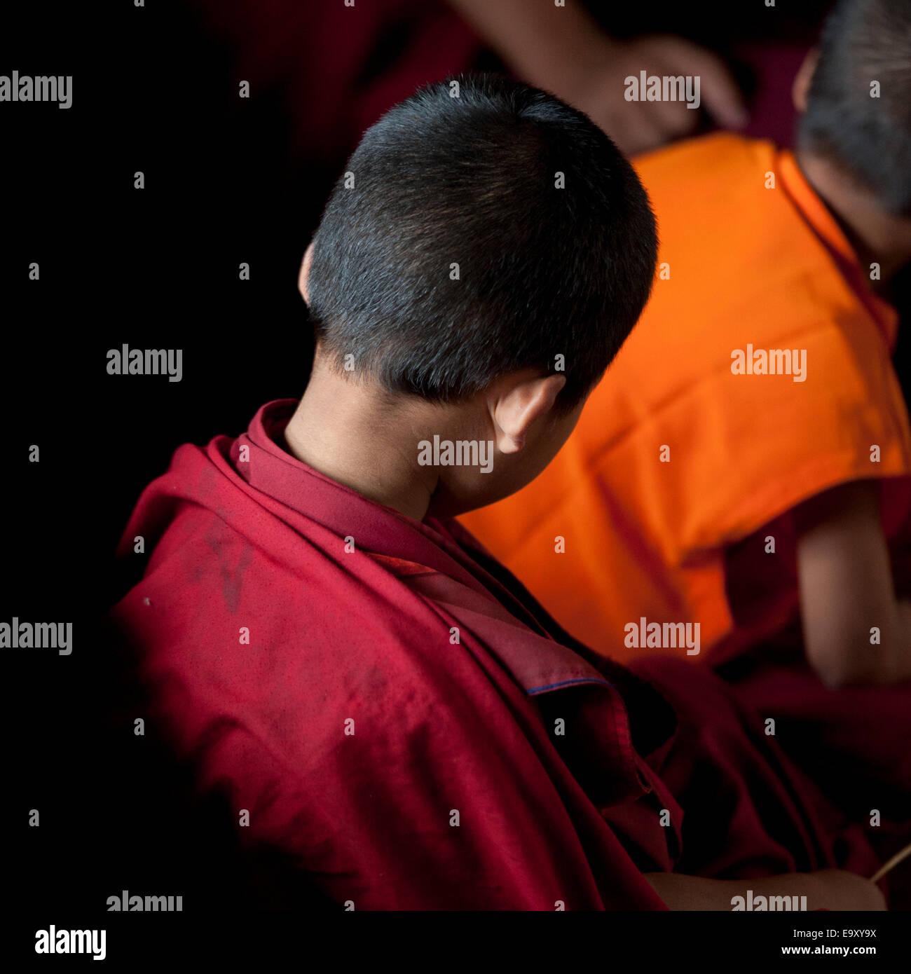 Vista posteriore di un giovane monaco presso la Chhimi Lhakhang, Punakha distretto, tempio della fertilità Foto Stock