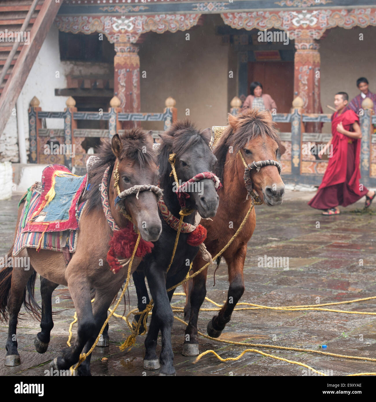 Divinità Cavalli, Trongsa distretto, Trongsa Dzong Foto Stock