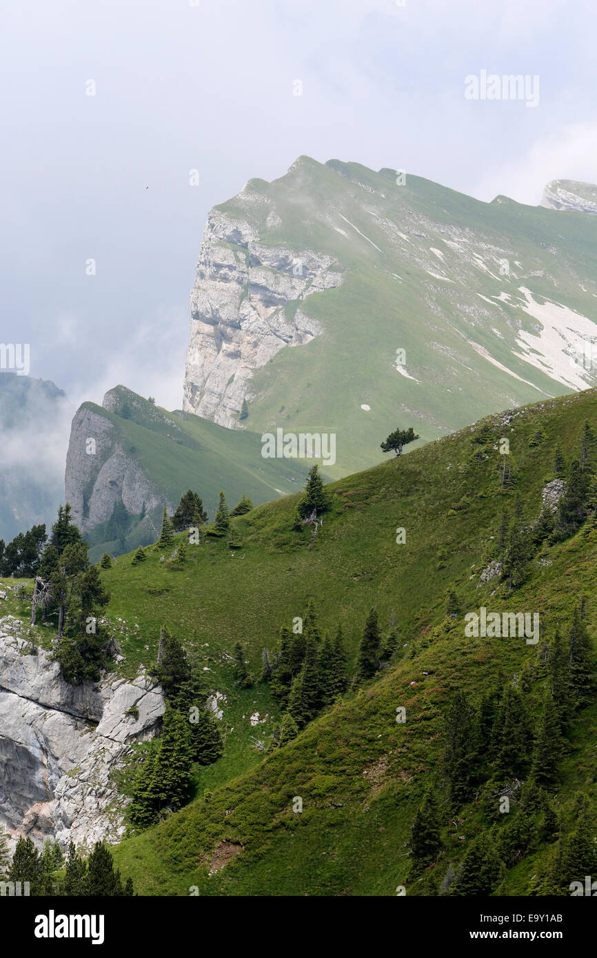 Regione carsica del Sieben Hengste montagne, Oberland bernese, Svizzera Foto Stock