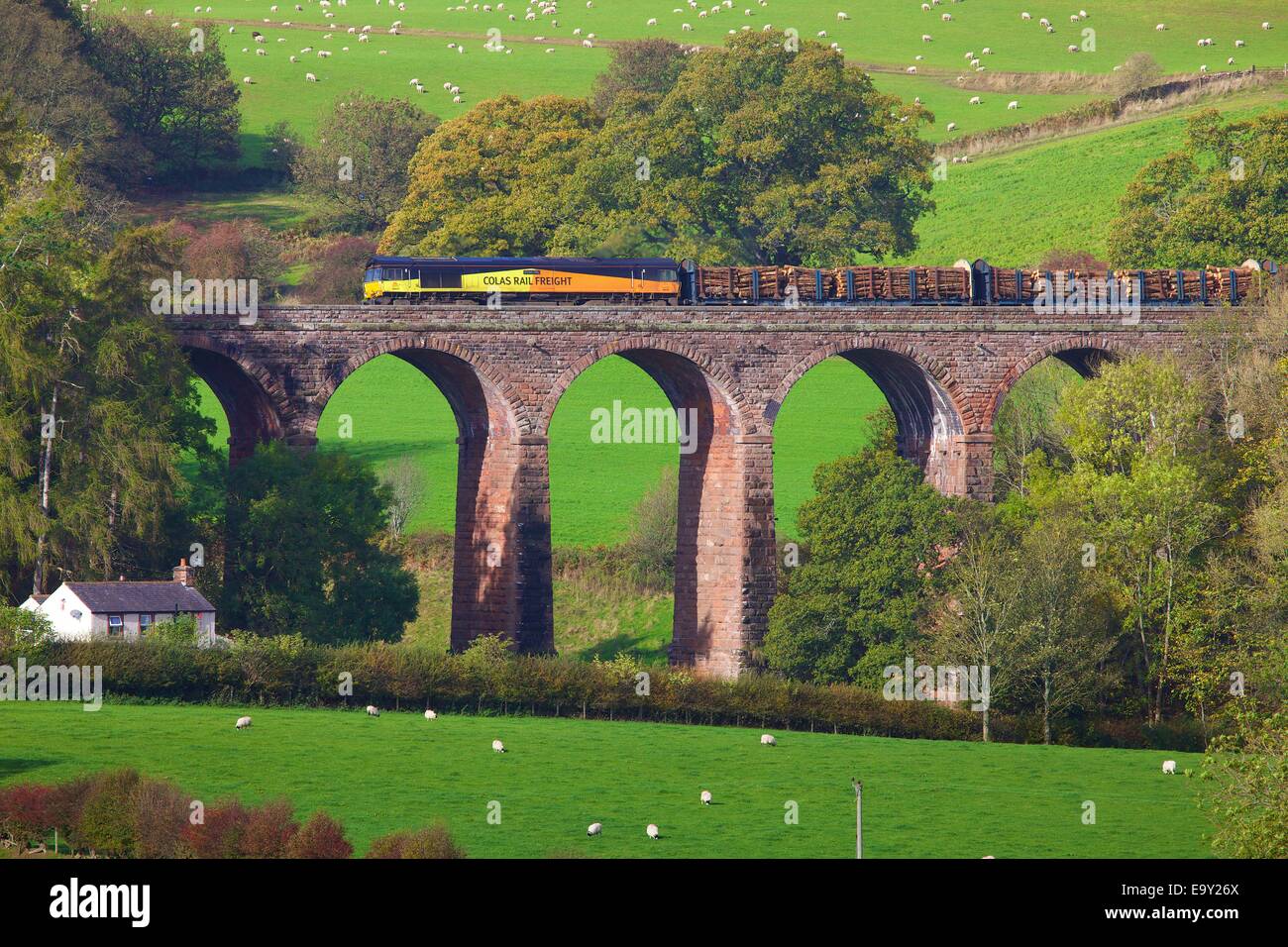 Colas Rail treno merci su asciutto Beck viadotto, Armathwaite, Eden Valley, Cumbria, Inghilterra, Regno Unito. Foto Stock