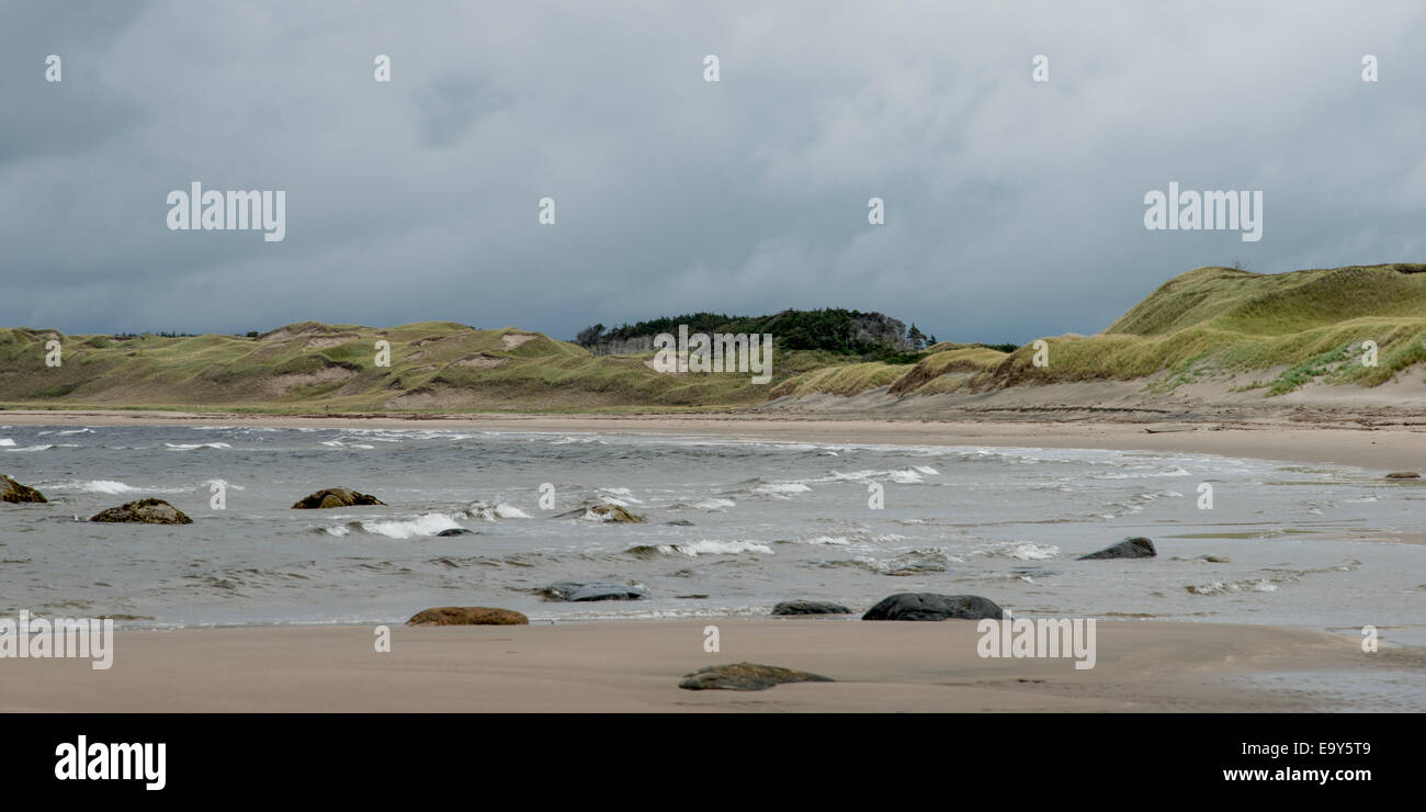 Sally's Cove Costa, Golfo di San Lorenzo, Parco Nazionale Gros Morne, Terranova e Labrador, Canada Foto Stock