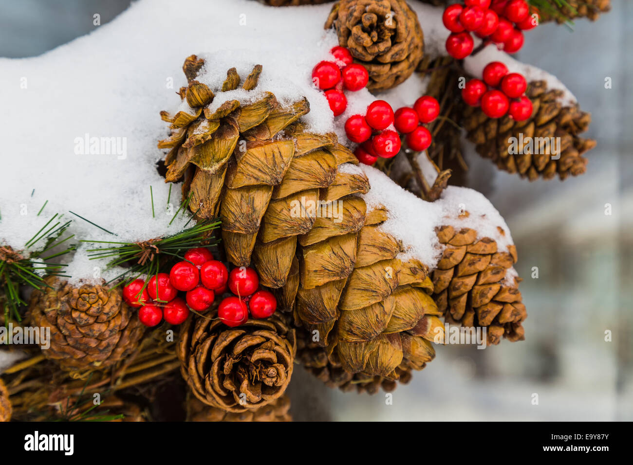 Dettaglio di un al di fuori del cono di Natale corona ricoperta di neve Foto Stock