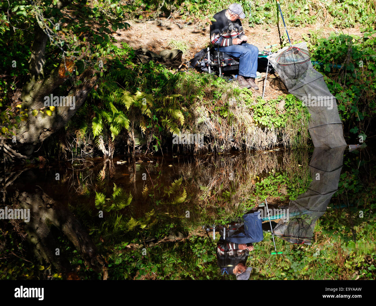 Domenica pomeriggio sulla banca del fiume Nidd, Knaresborough, nello Yorkshire, Inghilterra Foto Stock
