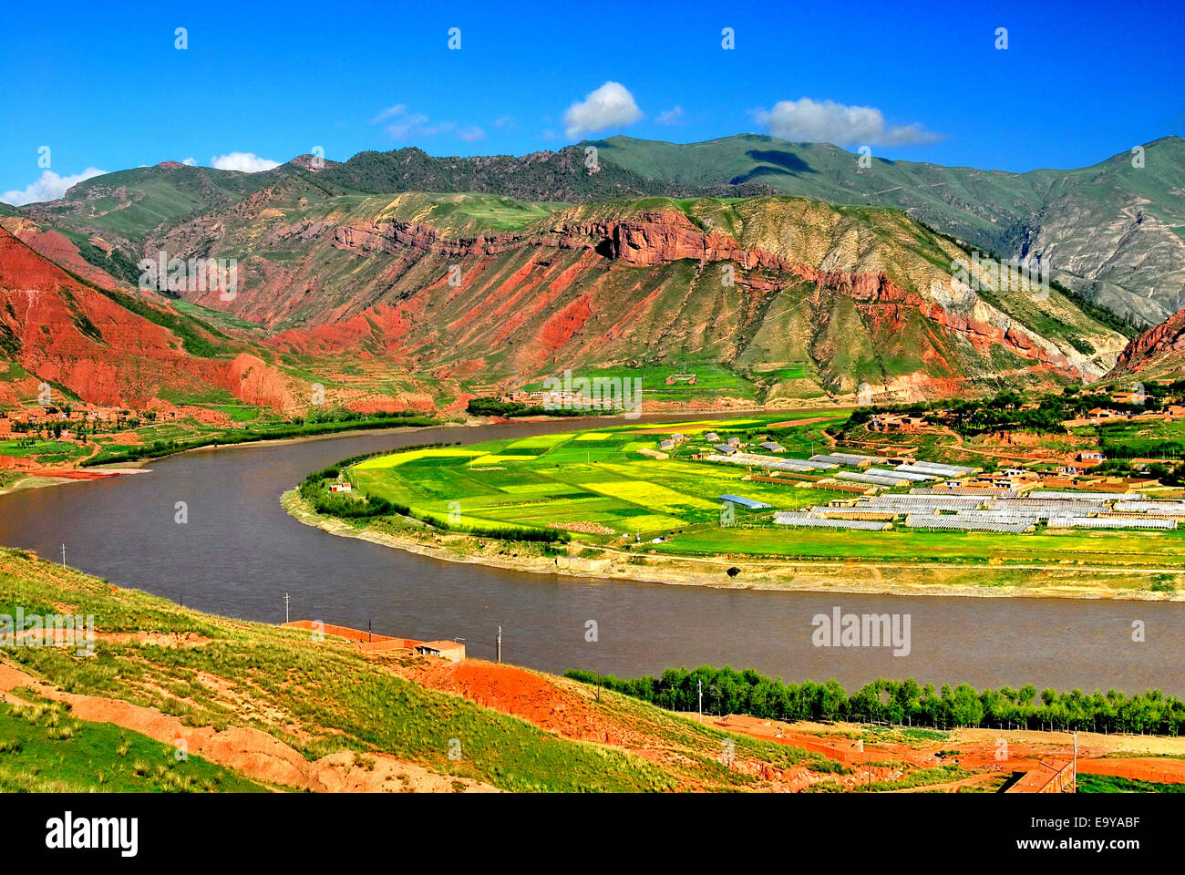 Un cavallo camp Nel Qinghai Foto Stock