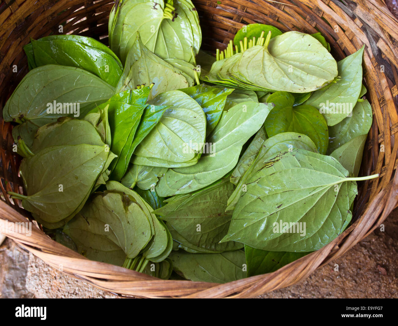 Myanmar Lago Inle Market Foto Stock