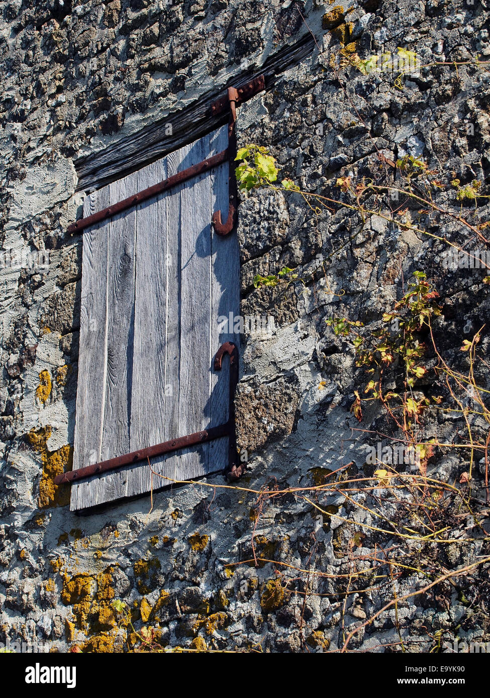 Vecchia porta di legno sulle cerniere di ferro nel fieno loft di un vecchio abbandonato fienile in pietra nel sud della Normandia, Francia Foto Stock