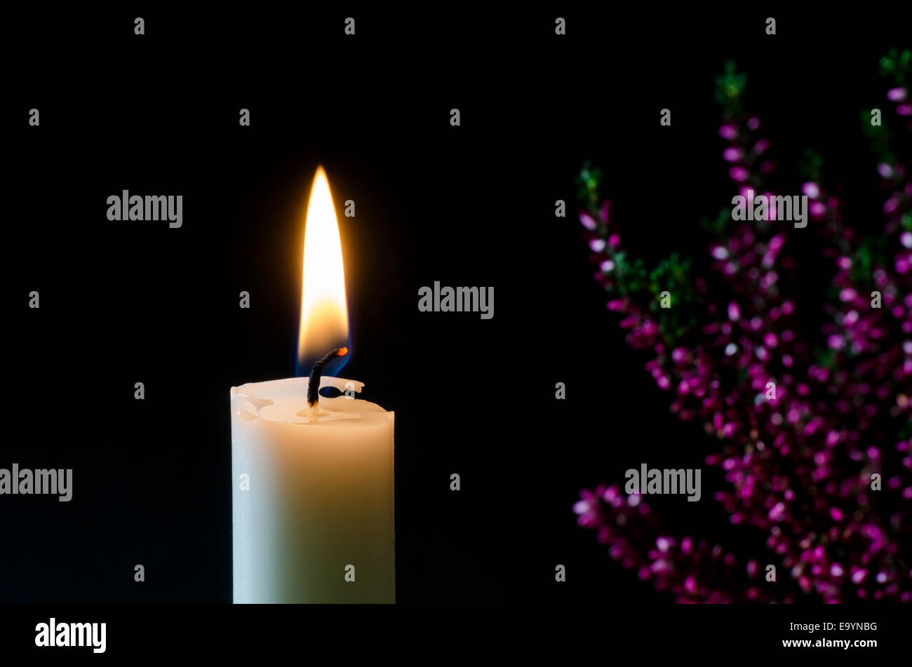 Uno bianco candela che brucia con una offuscata heather fiore in background Foto Stock