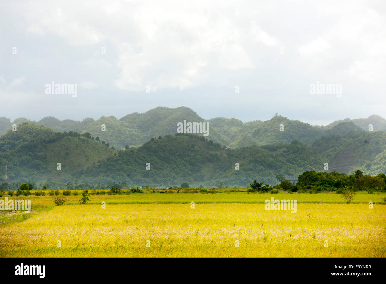 Dominikanische Republik, Osteno, Autopista del Nordeste von Nagua nach Santo Domingo, Hügel des Nationalparks Los Haitises Foto Stock