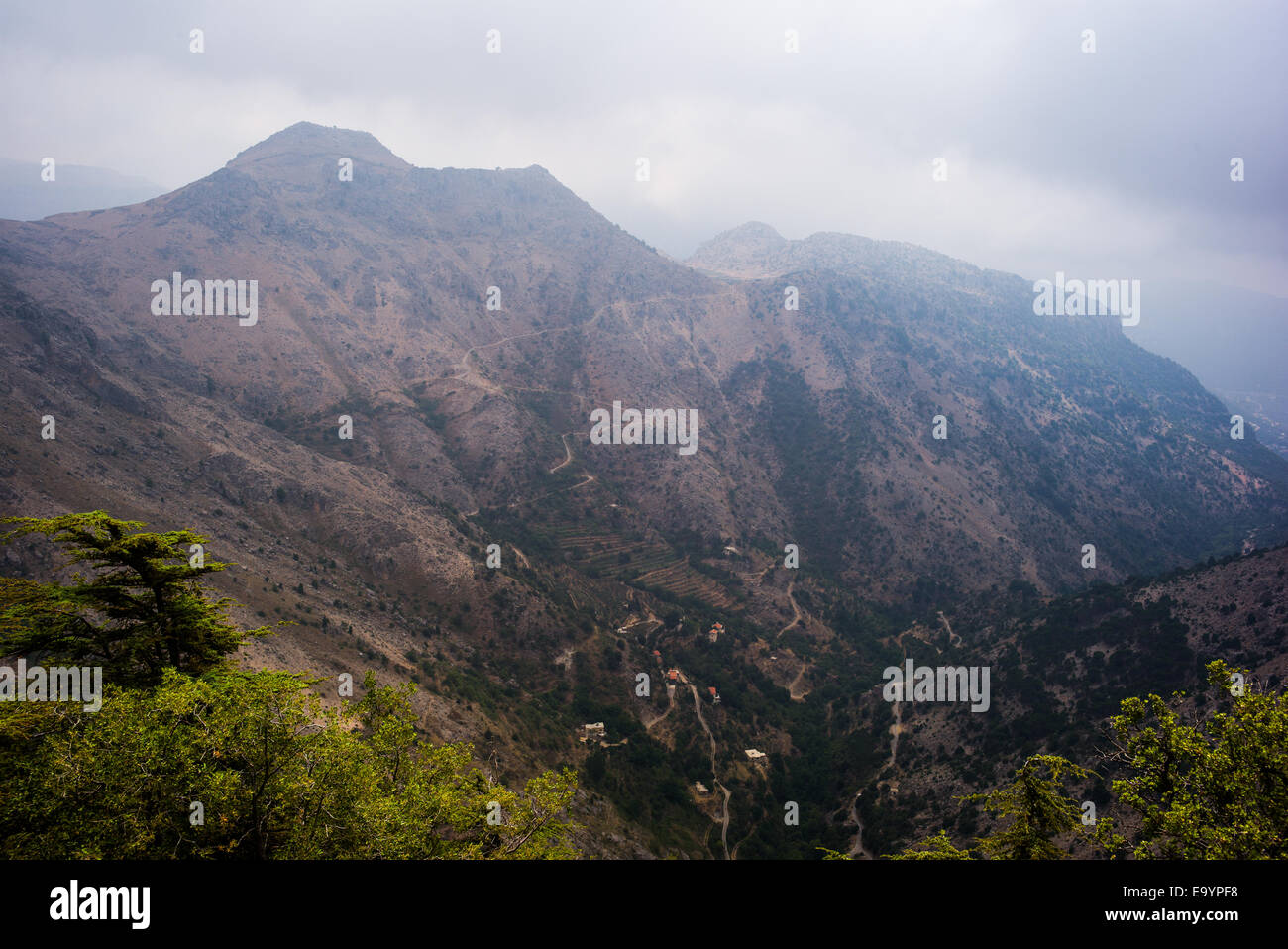 Tannourine Valley, Batroun district, Libano. Foto Stock