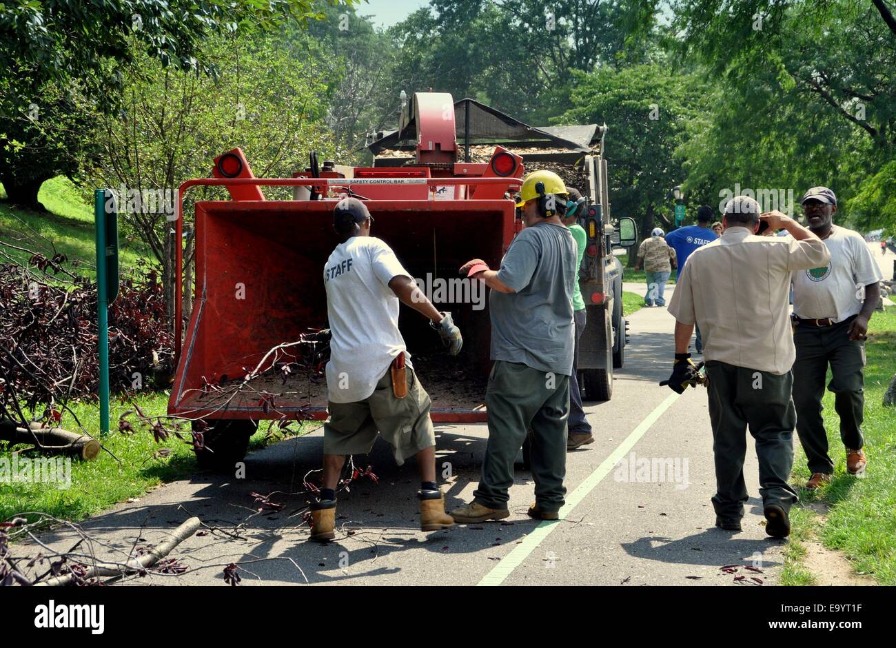 NYC: equipaggio di lavoro dal Dipartimento parchi di pulizia di detriti lasciati dietro da una grave tempesta estiva che abbattuto molti alberi Foto Stock NYC: equipaggio di lavoro dal Dipartimento parchi di pulizia di detriti lasciati dietro da una grave tempesta estiva che abbattuto molti alberi Foto Stock