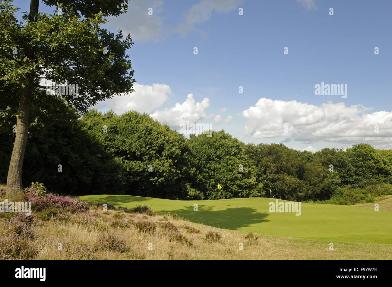 Vista del settimo foro con erica e bracken accanto al Green Wrotham Heath Golf Club Sevenoaks Kent England Foto Stock