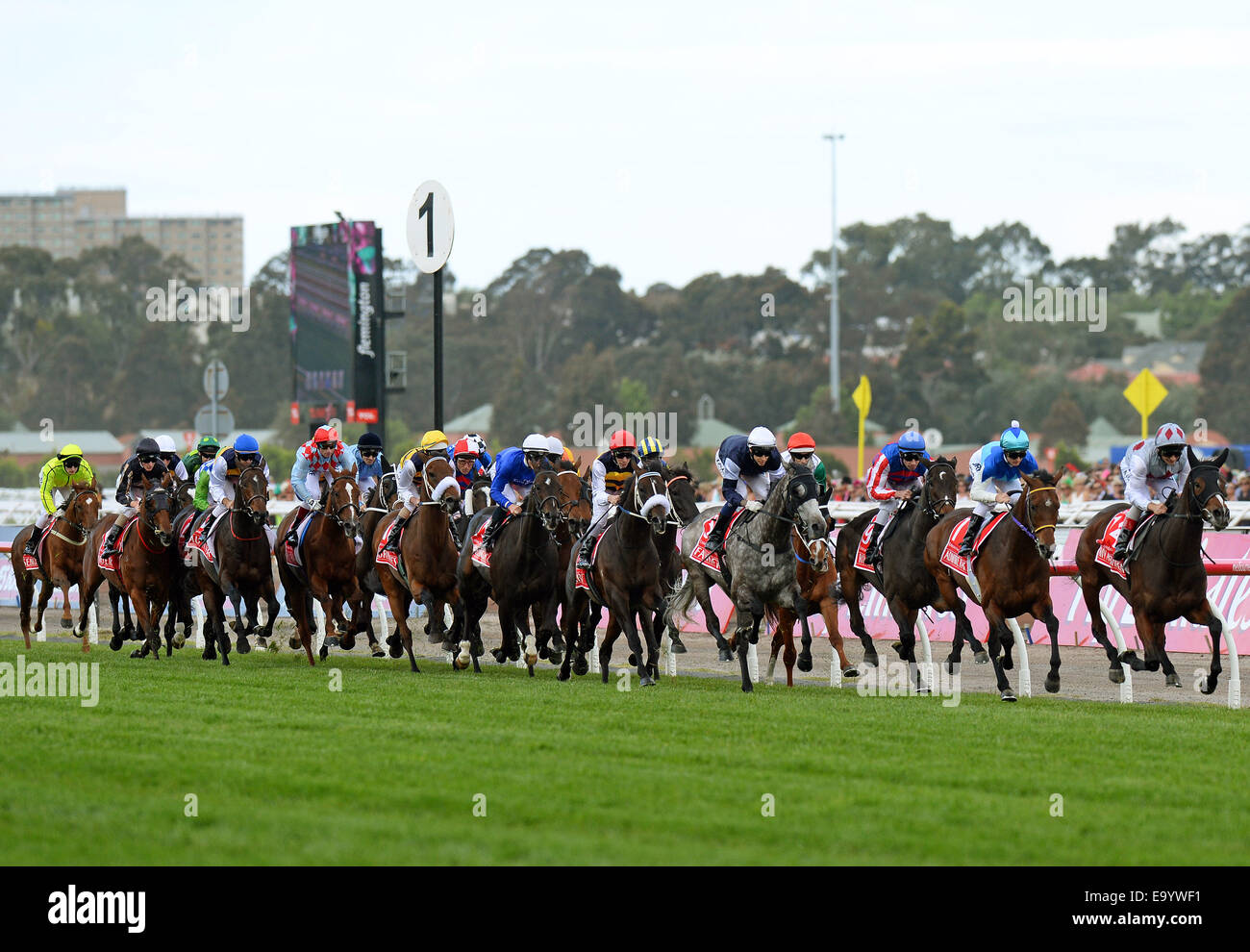 Flemington Racecourse, Melbourne, Australia. 04 Nov, 2014. 2014 Emirates Melbourne Cup gara di credito d'azione: Azione Plus sport/Alamy Live News Foto Stock