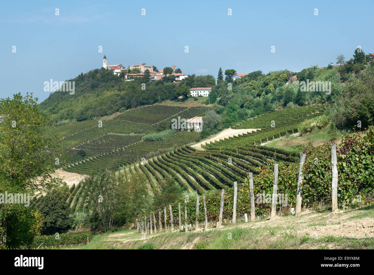 L'Italia,panorama di vigneti del Piemonte: Langhe-Roero e Monferrato nella Lista del Patrimonio Mondiale UNESCO: un paese cappella votiva Foto Stock