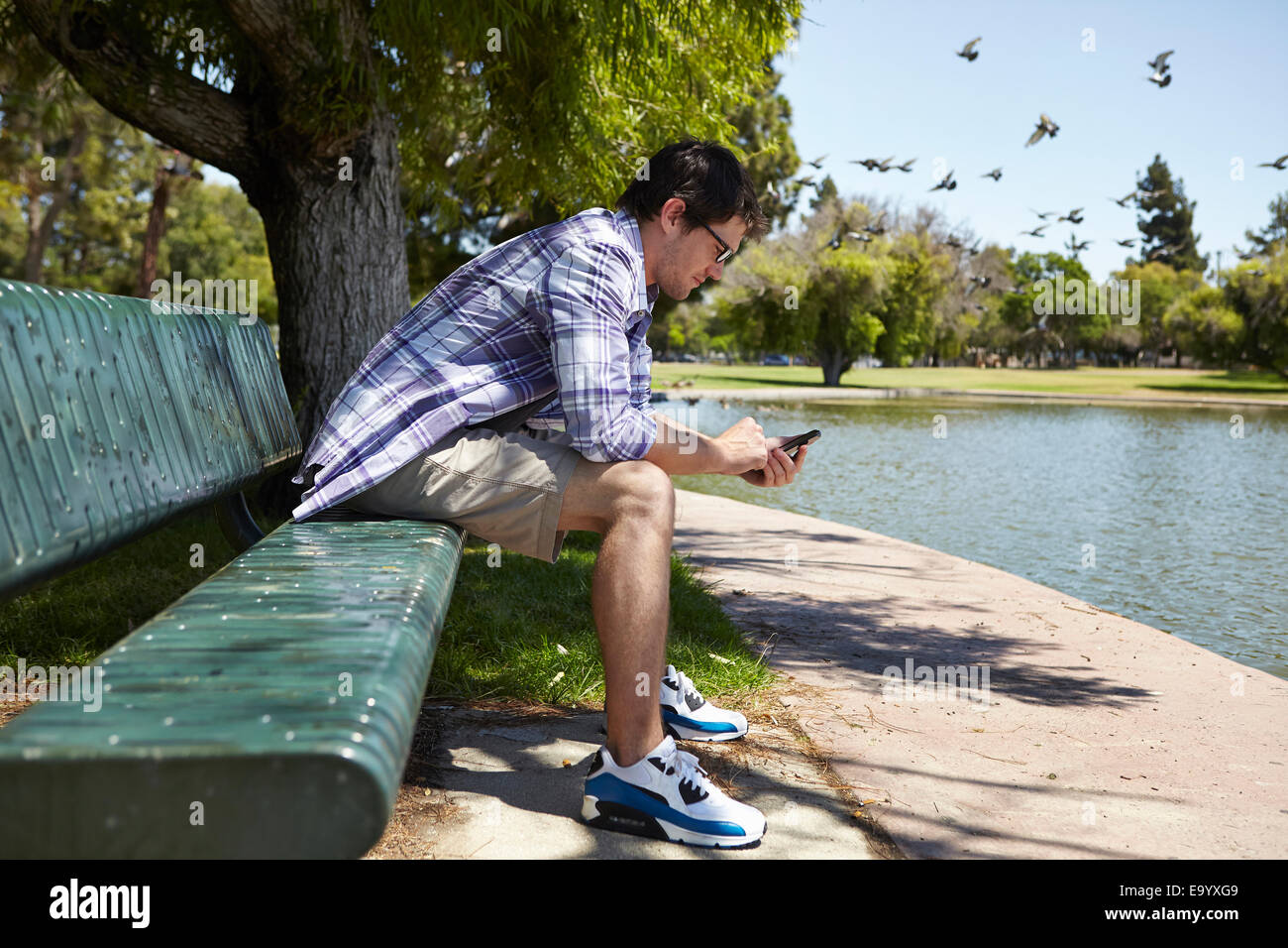 L'uomo usando il telefono su una panchina nel parco Foto Stock