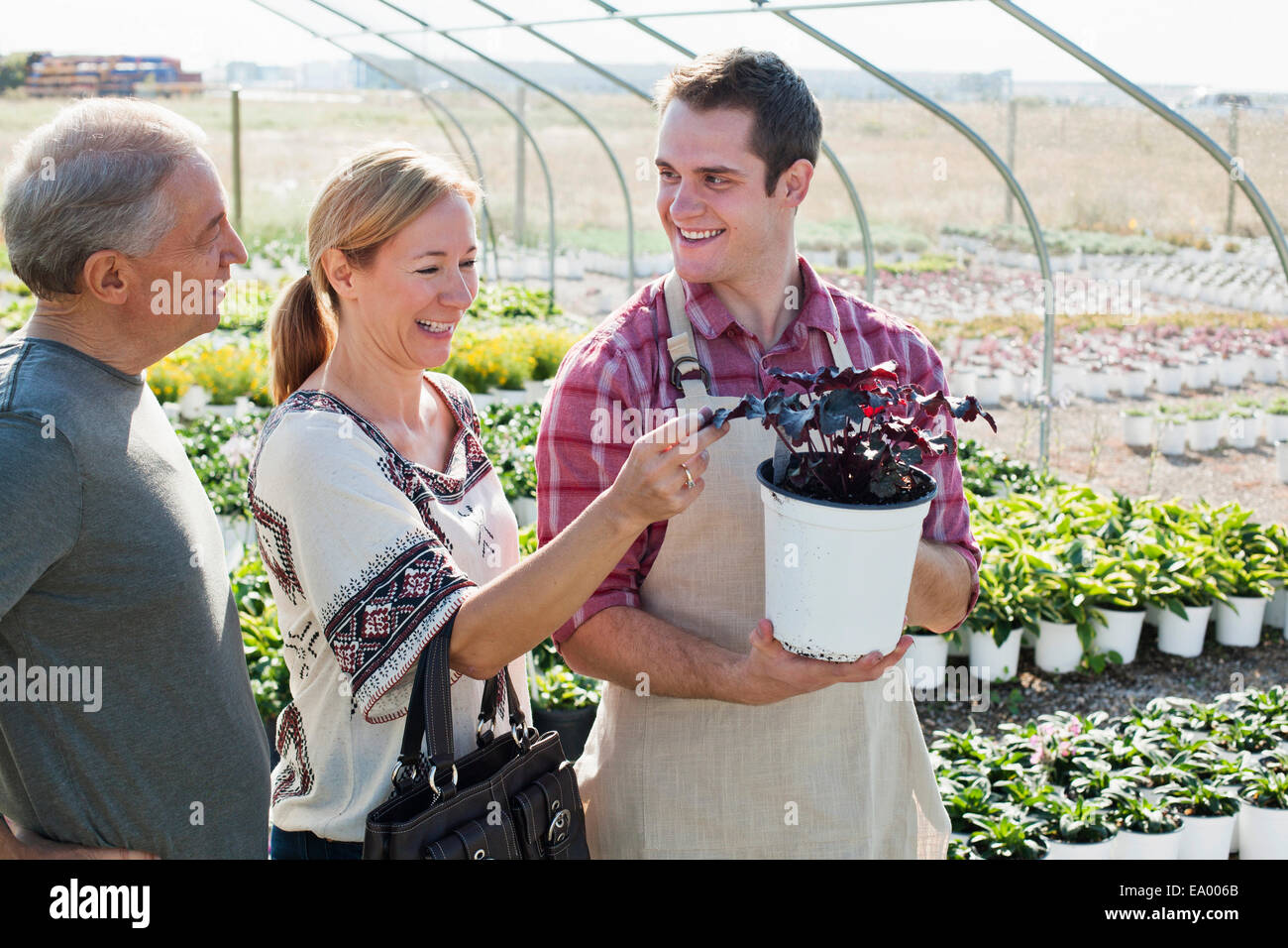 Giovane maschio horticulturalist consulenza ai clienti su vasi di piante in vivaio polytunnel Foto Stock