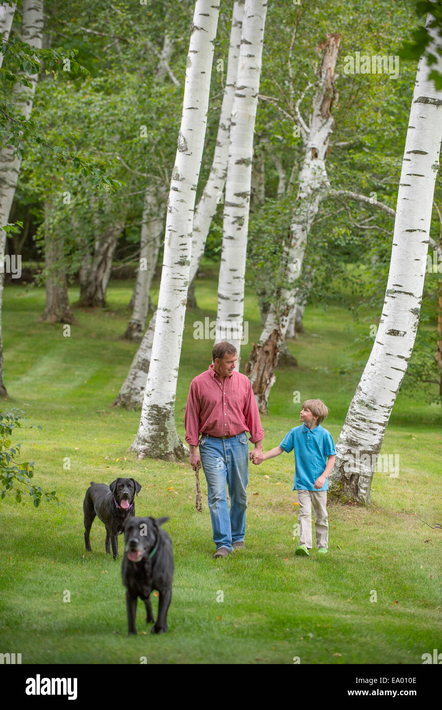 Padre e figlio a spasso due cani Foto Stock