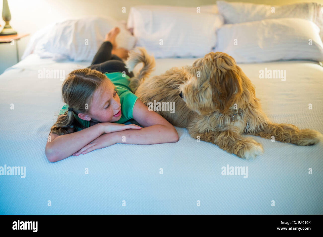 Ragazza giovane giacente sul letto accanto al cane Foto Stock