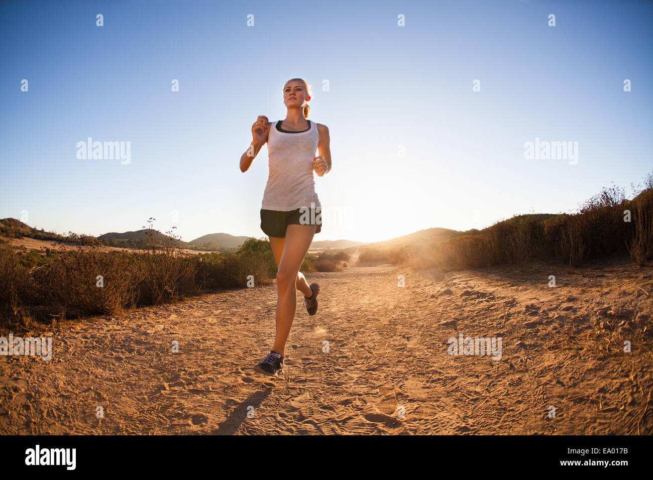 Giovane donna jogging sul percorso soleggiato, Portland, CA, Stati Uniti d'America Foto Stock