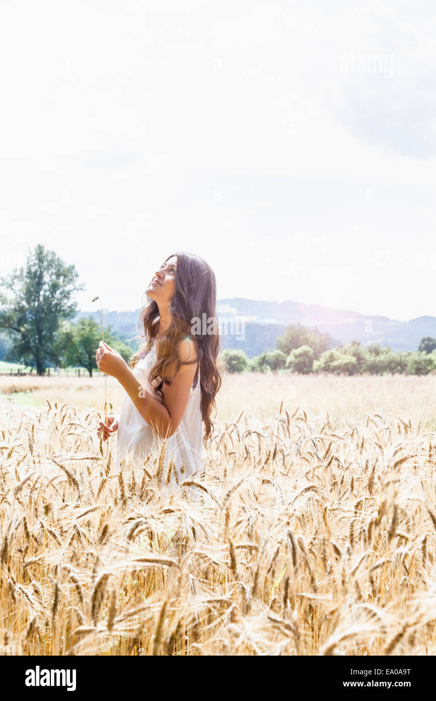 Giovane donna nel campo di grano Foto Stock