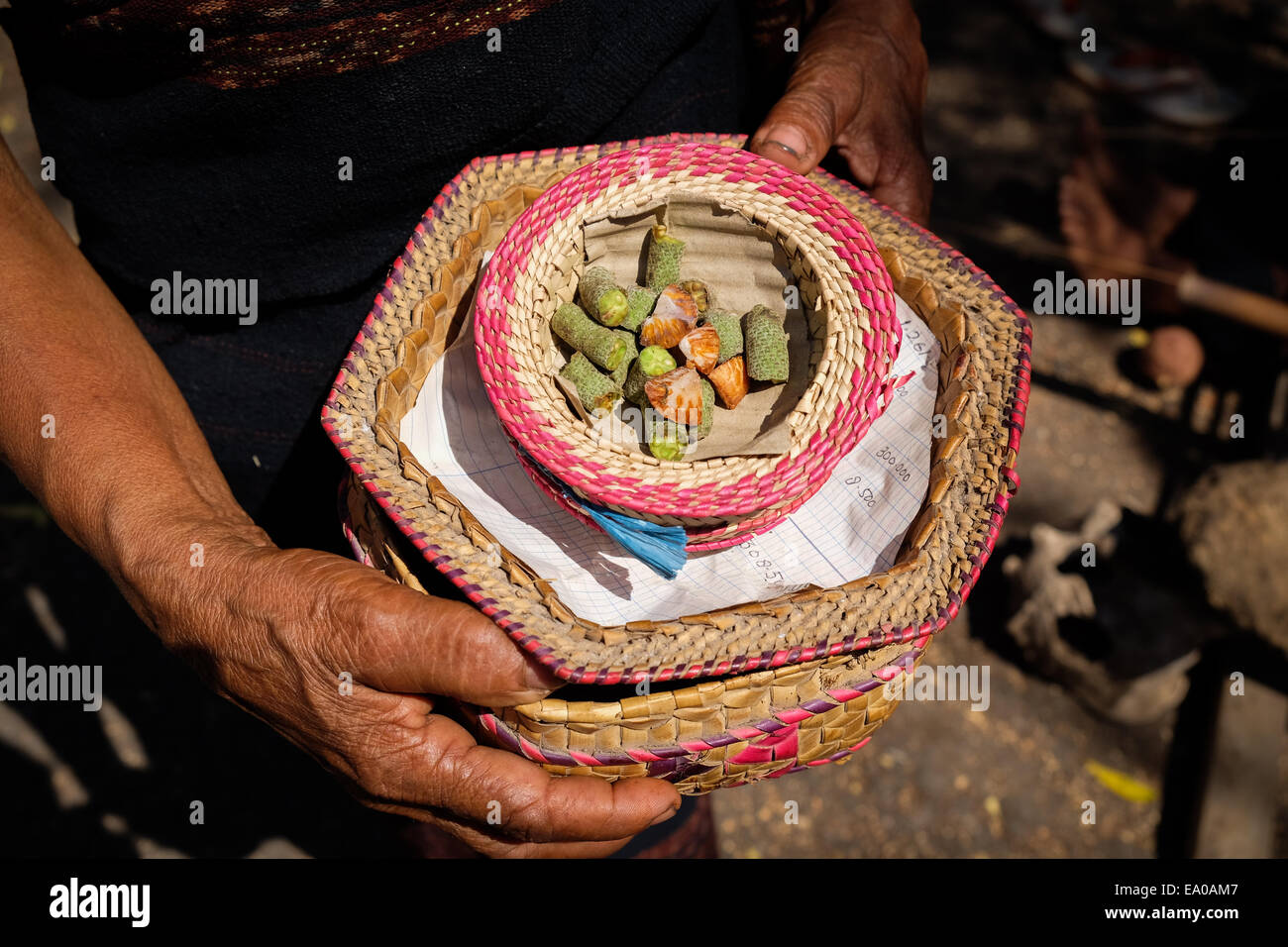 Una donna mostra di betel e noci di arec (sirih e pinang) che per essere servito per i visitatori nel villaggio Lamagute, Lembata, Indonesia. Foto Stock